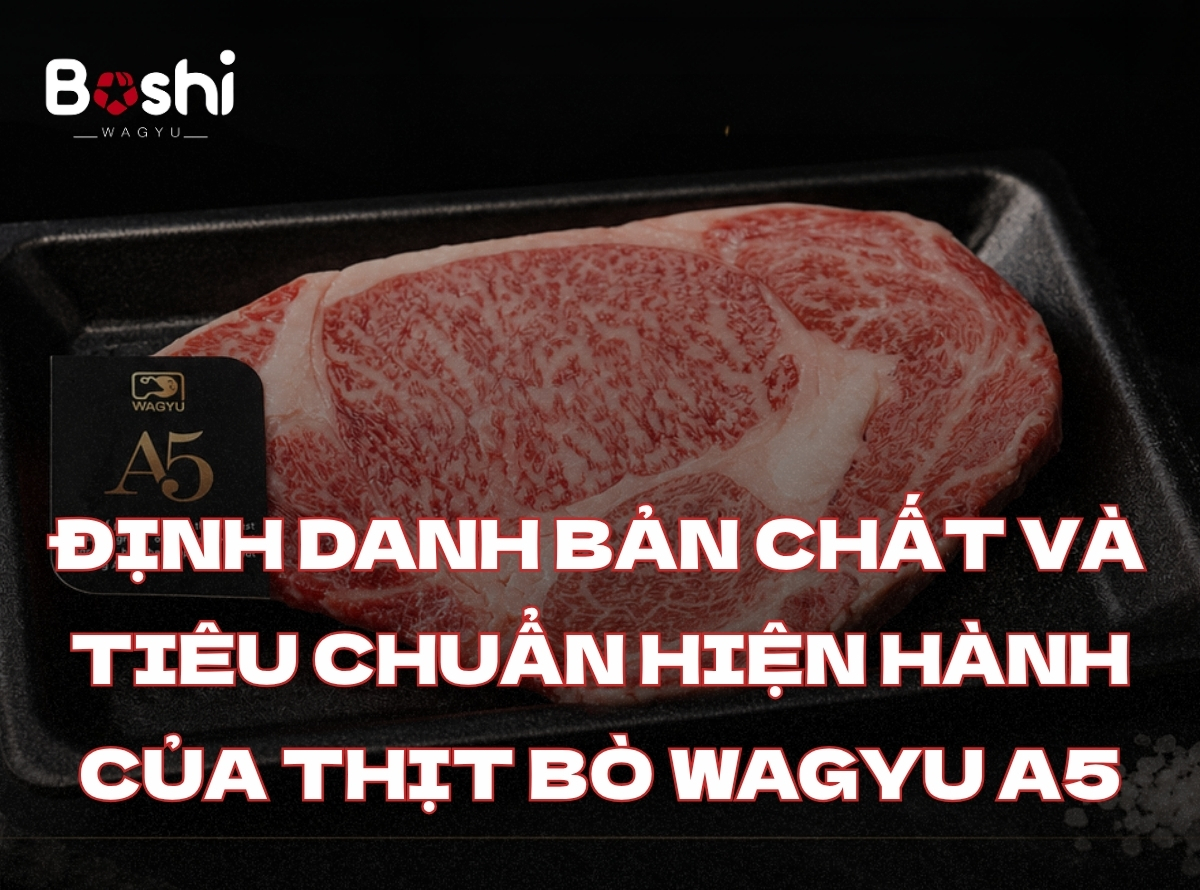 CẨM NANG CHUYÊN NGÀNH: ĐỊNH DANH BẢN CHẤT VÀ TIÊU CHUẨN HIỆN HÀNH CỦA THỊT BÒ WAGYU A5