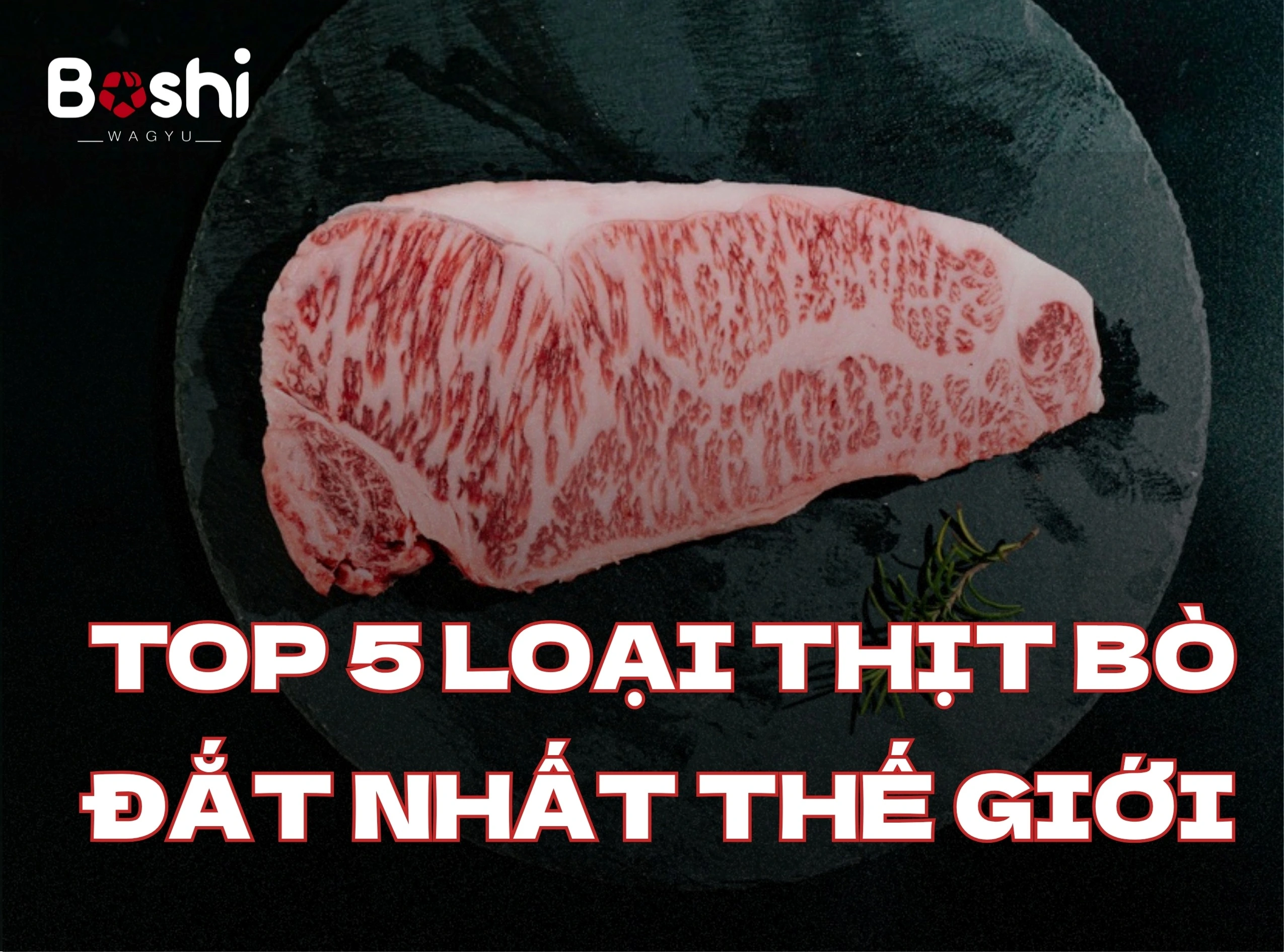 TOP 5 LOẠI THỊT BÒ ĐẮT NHẤT THẾ GIỚI 2026: GIẢI MÃ NHỮNG 